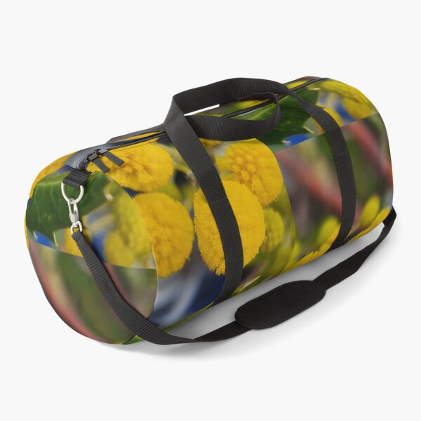 Item preview, Acacia pulchella designed and sold by LCNNativePlants.