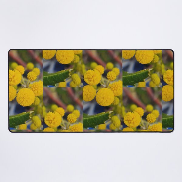 Item preview, Acacia pulchella designed and sold by LCNNativePlants.