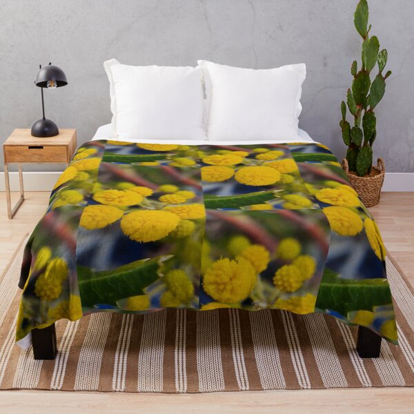 Item preview, Acacia pulchella designed and sold by LCNNativePlants.
