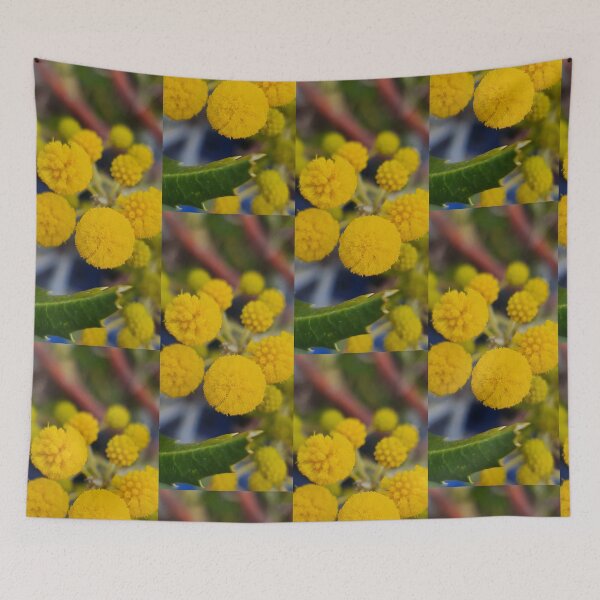 Item preview, Acacia pulchella designed and sold by LCNNativePlants.