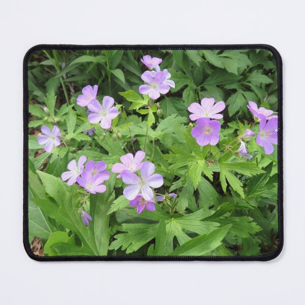 Item preview, Wild Geraniums designed and sold by Kathleen Brant.