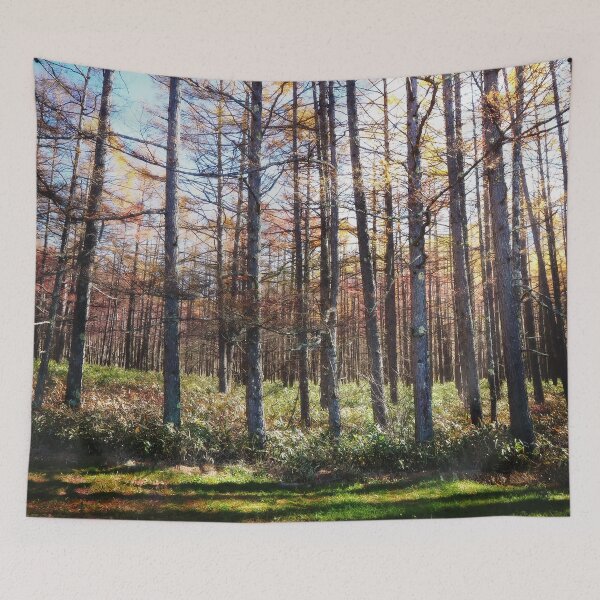 Item preview, Tree range in autumn scene designed and sold by ChillShot.