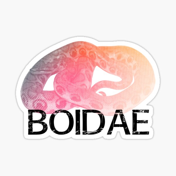 The rainbowest of rainbow boas Epicrates boidae Sticker