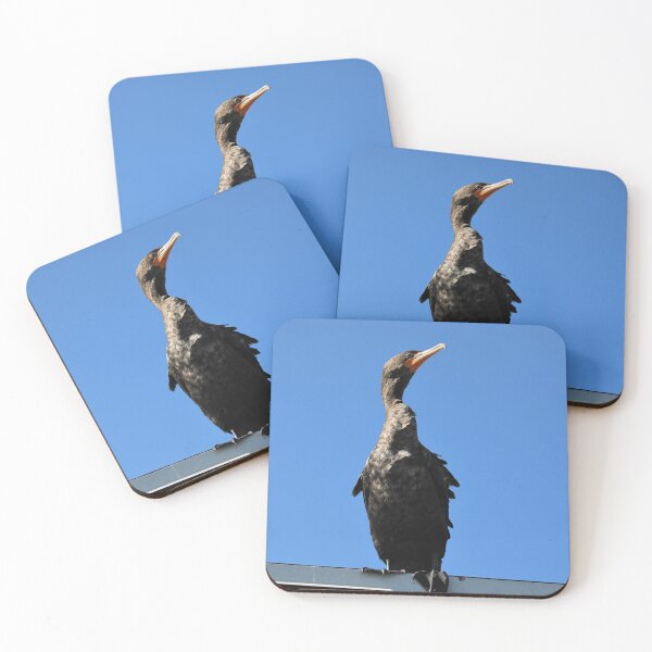 Item preview, Double Crested Cormorant Standing On Roof designed and sold by Sarah Tepe.