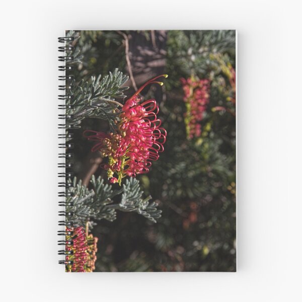 Item preview, Grevillea Leith Park Victoria 20160613 7113  designed and sold by Fred Mitchell.