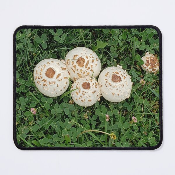 Item preview, Fairy Mushrooms designed and sold by CG64.