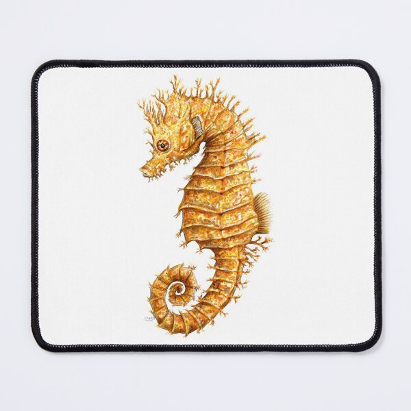 Item preview, Beautiful common seahorse Hippocampus hippocampus designed and sold by chloeyzoard.