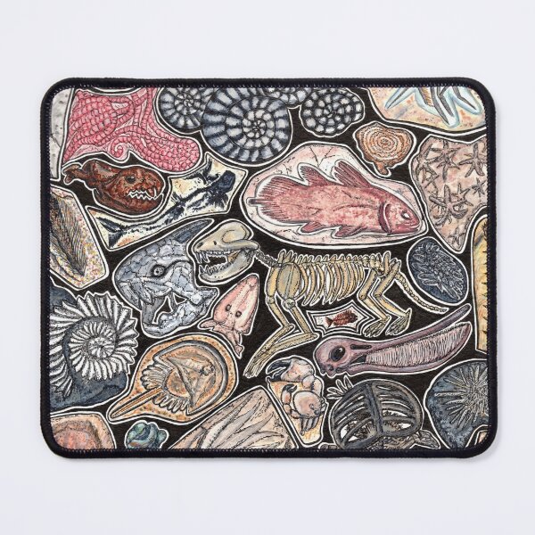 Item preview, Fossils for history, dinosaur and archaeology lovers designed and sold by chloeyzoard.