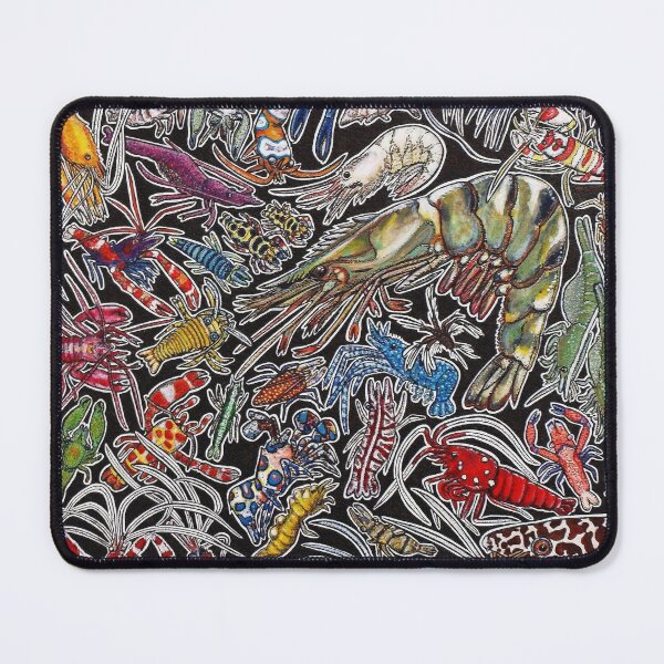 Item preview, Prawns, gambas and shrimps for ocean lovers, marine biologists and scuba divers designed and sold by chloeyzoard.