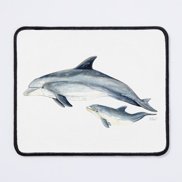 Item preview, Bottlenose dolphin (Tursiops truncatus) designed and sold by chloeyzoard.