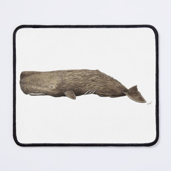 Item preview, Sperm whale (Physeter macrocephalus) designed and sold by chloeyzoard.