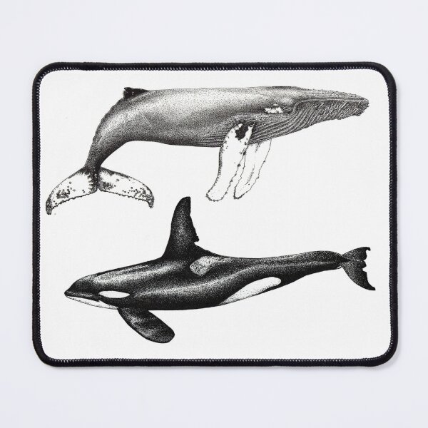Item preview, Orca killer whale and humpback whale designed and sold by chloeyzoard.