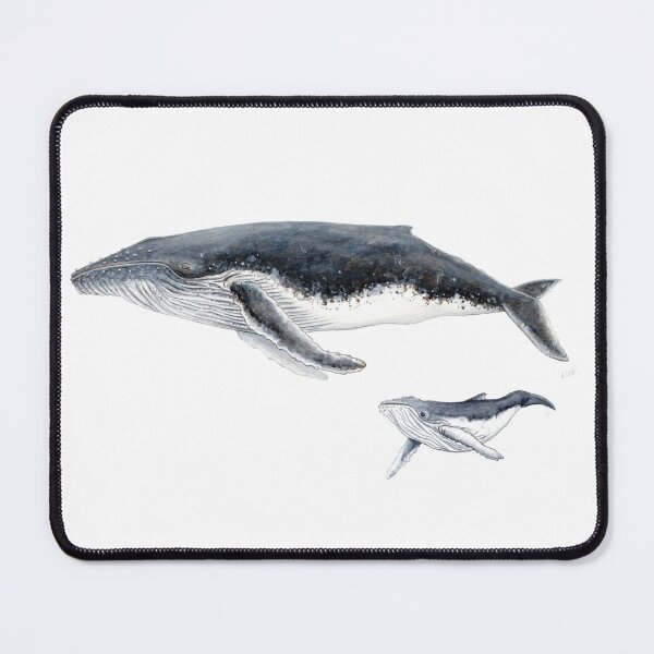 Item preview, Humpback whale mother and baby whale Megaptera novaeangliae designed and sold by chloeyzoard.