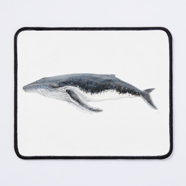 Item preview, Humpback whale Megaptera novaeangliae designed and sold by chloeyzoard.