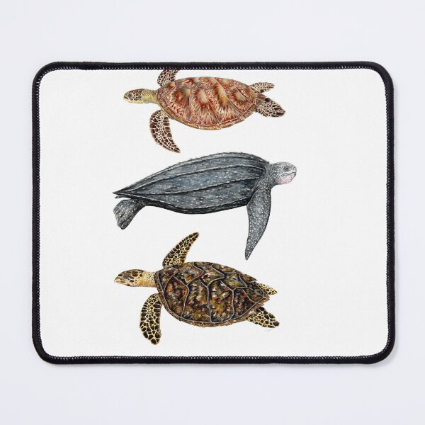 Item preview, Sea turtles trio: green, leatherback and hawksbill turtles designed and sold by chloeyzoard.