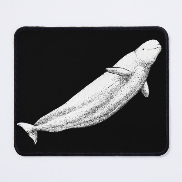 Item preview, Beluga whale (Delphinapterus leucas) ink artwork designed and sold by chloeyzoard.