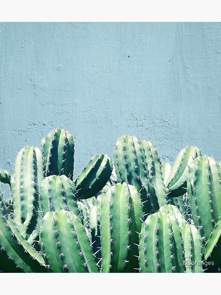 Cactus y verde azulado #redbubble #lifestyle de 83oranges
