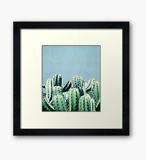 Cactus & Teal #redbubble #lifestyle Framed Print