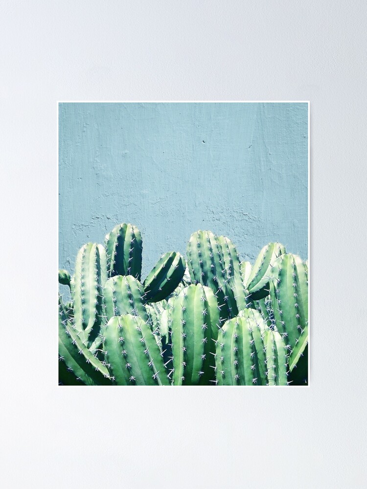 Vista alternativa de Póster Cactus y verde azulado #redbubble #lifestyle