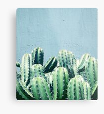 Cactus & Teal #redbubble #lifestyle Metal Print