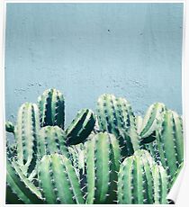 Cactus & Teal #redbubble #lifestyle Poster