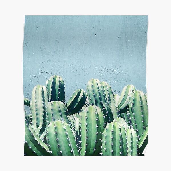 Cactus & Teal #redbubble #lifestyle Poster