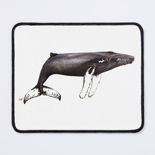 Item preview, The famous Humpback whale Notch from Cabo Verde designed and sold by chloeyzoard.
