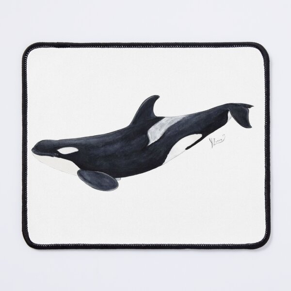Item preview, Orca (Orcinus orca) for killer whale lovers designed and sold by chloeyzoard.
