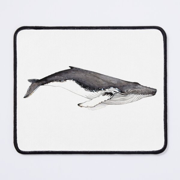 Item preview, Humpback whale (Megaptera novaeangliae)  designed and sold by chloeyzoard.