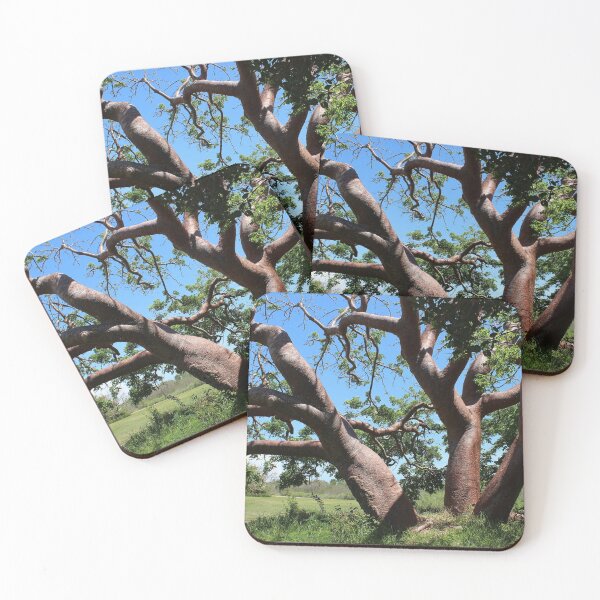 Item preview, Enorme árbol Gumbo Limbo designed and sold by Lexipooh76.