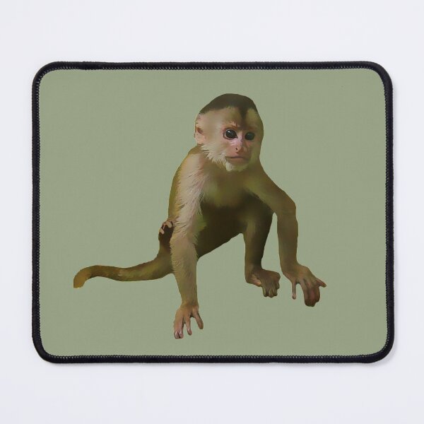 Item preview, Capuchin Monkey designed and sold by misimichu.