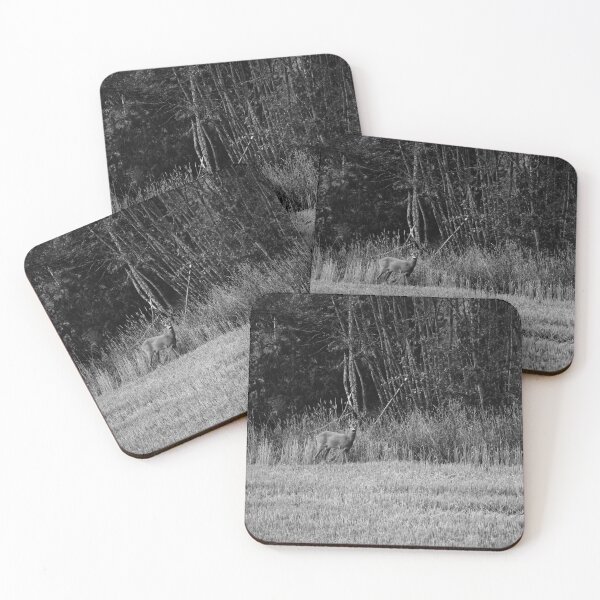 Item preview, By the line of the forest. Roe deer bw designed and sold by Jouko Lehto Photography.