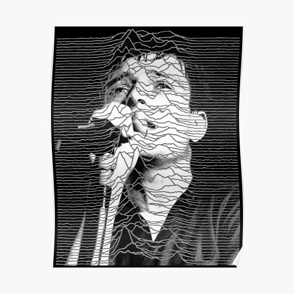 Unknown Pleasures Ian Curtis JD - Pulses from pulsar CP 1919 Poster