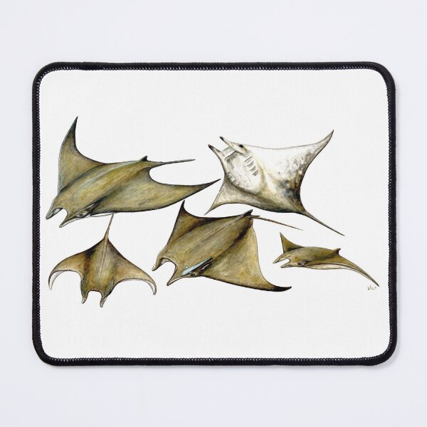 Item preview, Chilean devil manta ray (Mobula tarapacana) designed and sold by chloeyzoard.