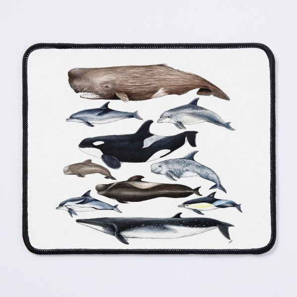 Item preview, Whales, dolphins, orca and sperm whale designed and sold by chloeyzoard.