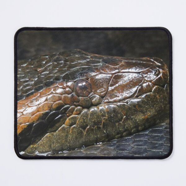 Item preview, Anaconda designed and sold by rootedrender.