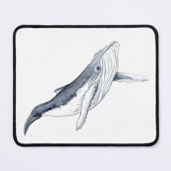 Item preview, Humpback whale baby designed and sold by chloeyzoard.