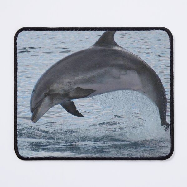 Item preview, Bottlenose dolphin designed and sold by chloeyzoard.