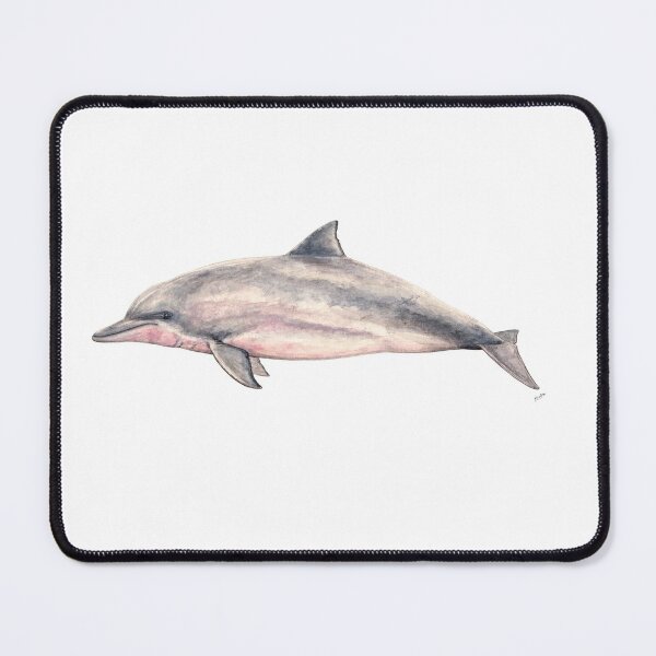 Item preview, Tucuxi, river dolphin species designed and sold by chloeyzoard.