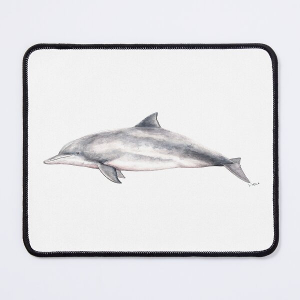 Item preview, Tucuxi: coastal species designed and sold by chloeyzoard.