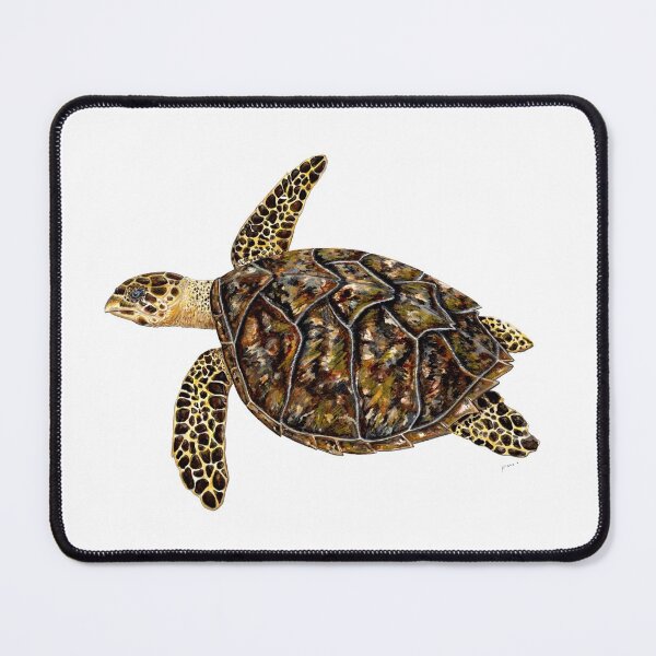 Item preview, Hawksbill sea turtle (Eretmochelys imbricata) designed and sold by chloeyzoard.