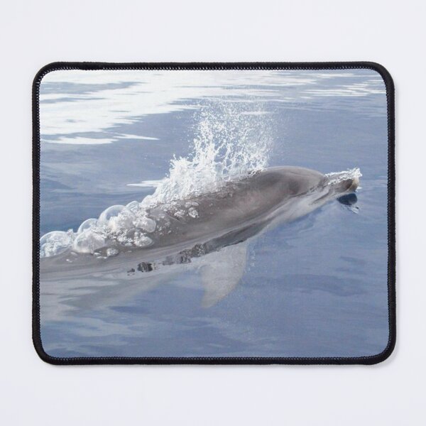Item preview, Dolphins and bubbles designed and sold by chloeyzoard.