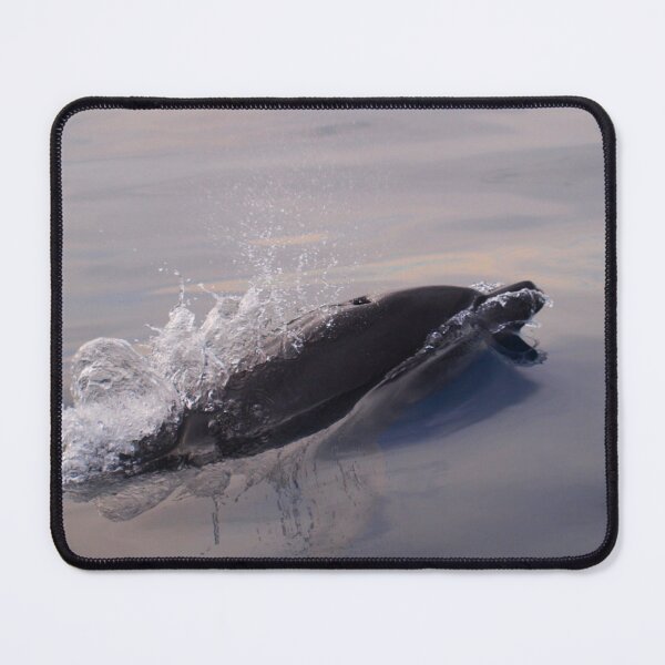 Item preview, Last dolphin last ray of light designed and sold by chloeyzoard.