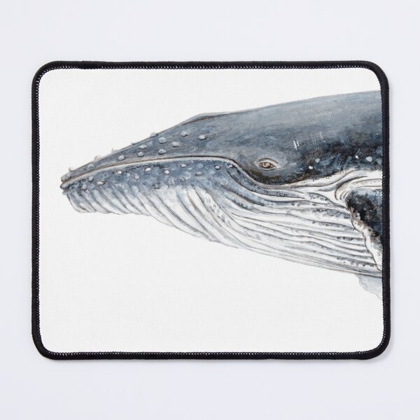 Item preview, Humpback whale designed and sold by chloeyzoard.