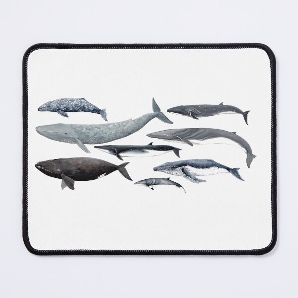 Item preview, Whales and right whale designed and sold by chloeyzoard.