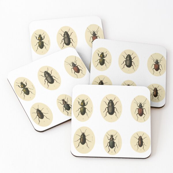 Item preview, Victorian Beetle Vintage Beetle Portrait designed and sold by ledalinda.