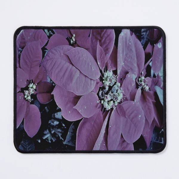 Item preview,  POINSETTIA   designed and sold by Coolklaset.