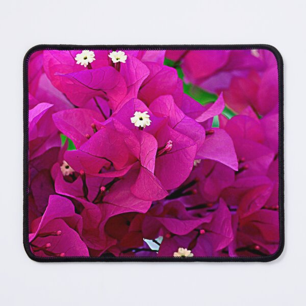 Item preview, Bougainvillea Flower  designed and sold by Purva Thakur.
