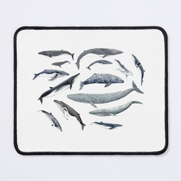 Item preview, Whales all around designed and sold by chloeyzoard.