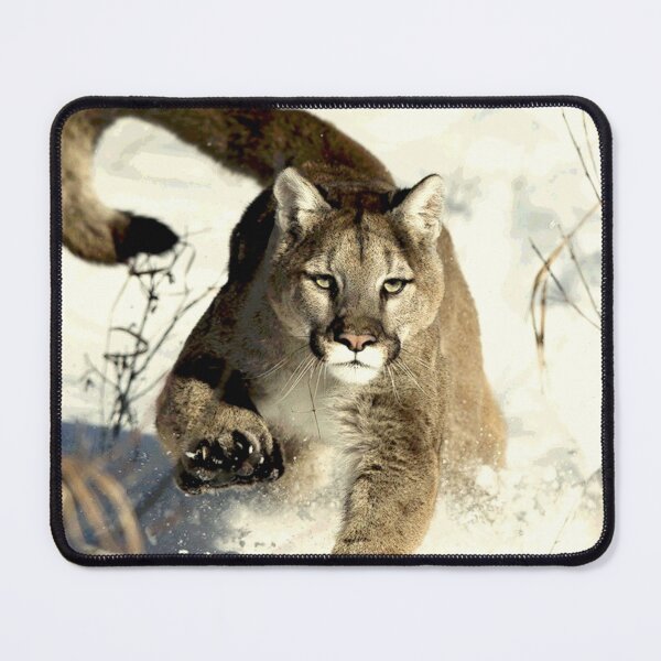 Item preview, COUGAR designed and sold by Paparaw.